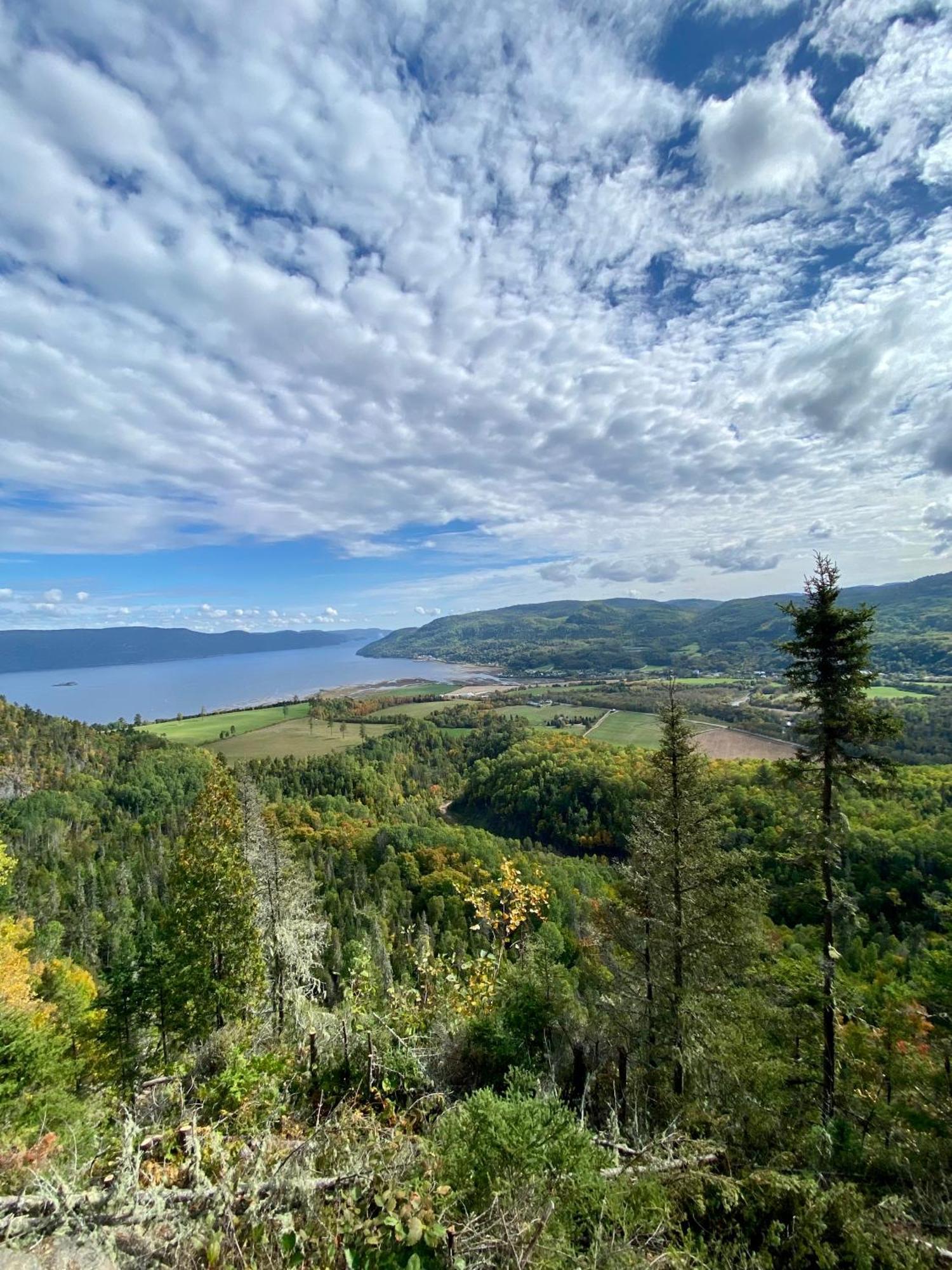 Belle Maison Avec Vue Sur La Riviere LʼAnse-Saint-Jean Zewnętrze zdjęcie