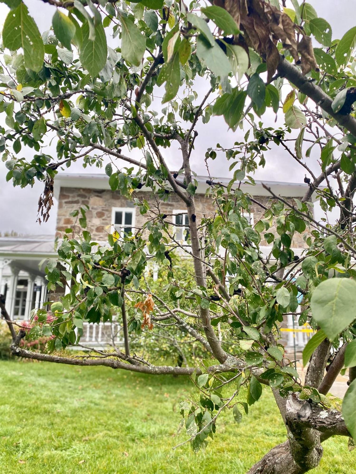 Belle Maison Avec Vue Sur La Riviere LʼAnse-Saint-Jean Zewnętrze zdjęcie